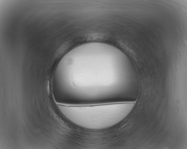 X0000052550067200507010856