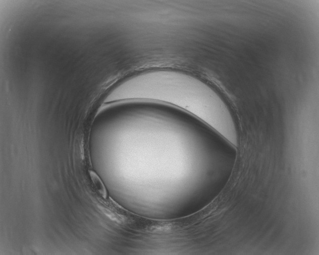 X0000052550068200507010856