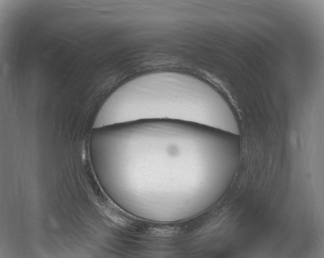 X0000052550069200507010856