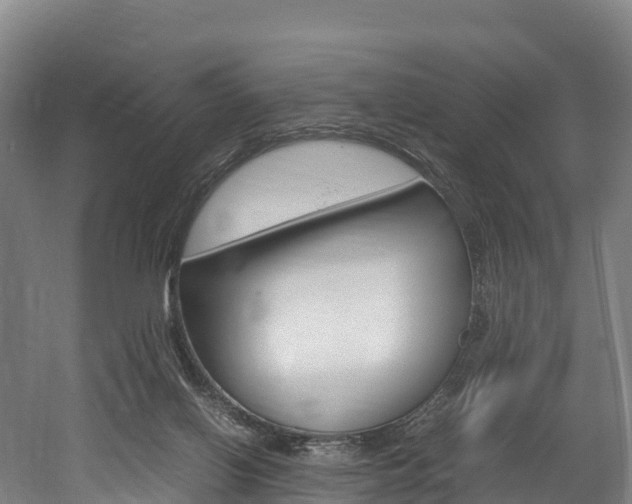 X0000052550070200507010856