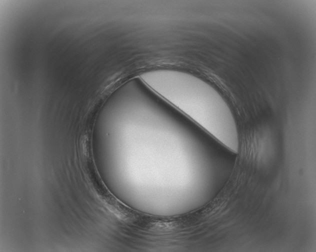 X0000052550071200507010856