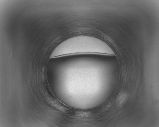 X0000052550073200507010856