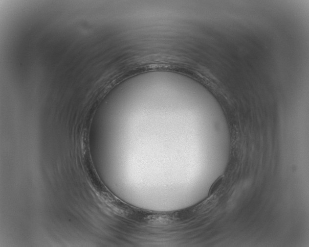 X0000052550074200507010856