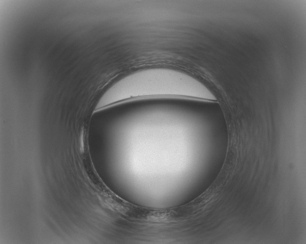 X0000052550076200507010856