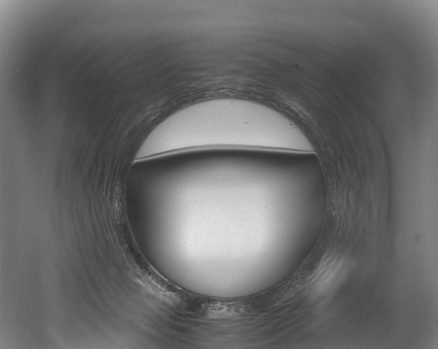 X0000052550077200507010856