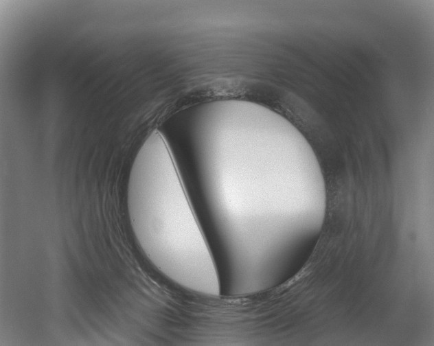 X0000052550078200507010856