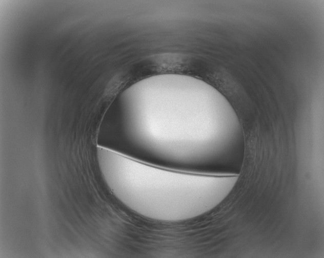 X0000052550079200507010856