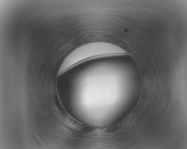 X0000052550080200507010856