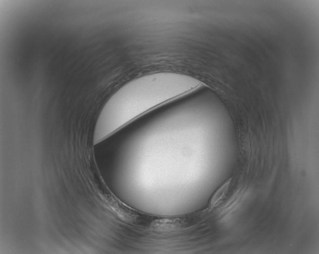 X0000052550082200507010856