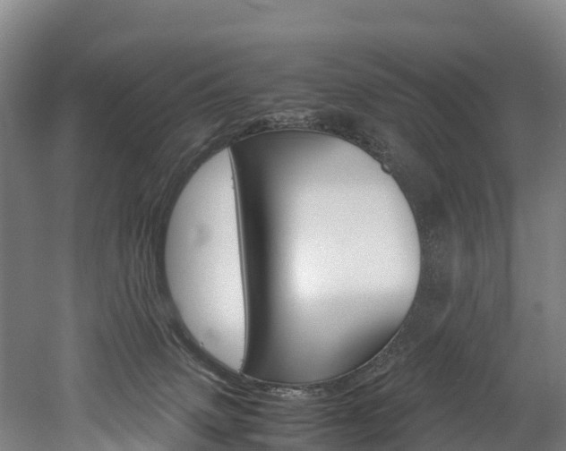 X0000052550083200507010856