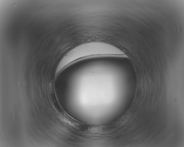 X0000052550084200507010856