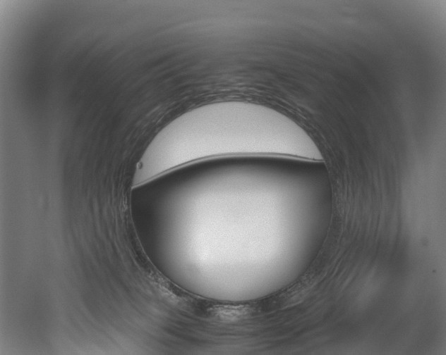 X0000052550085200507010856