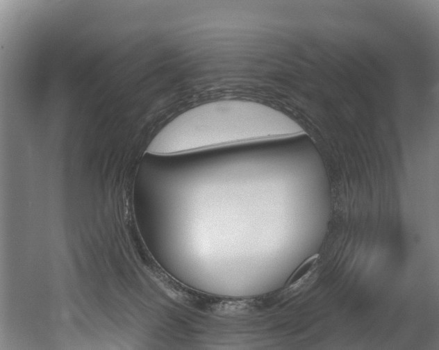 X0000052550086200507010856