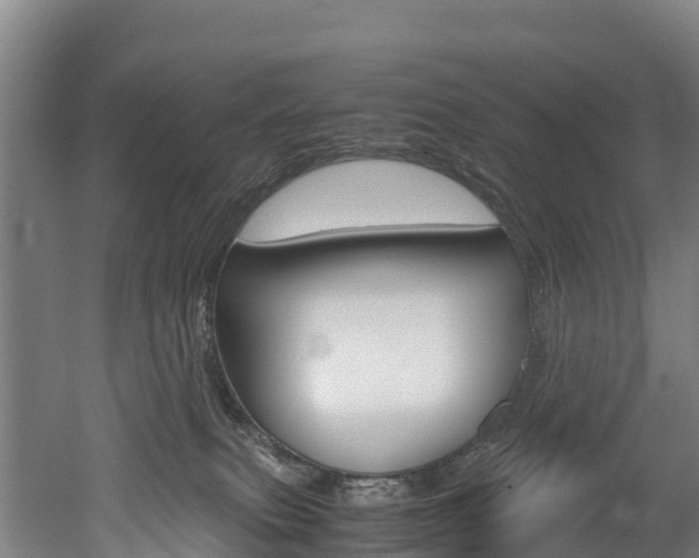 X0000052550087200507010856