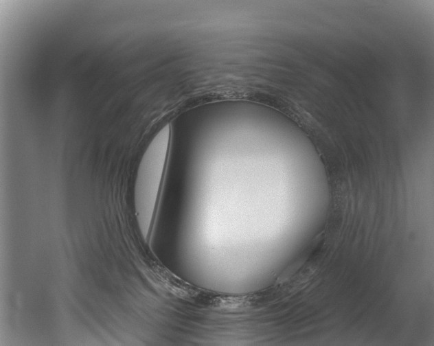 X0000052550088200507010856