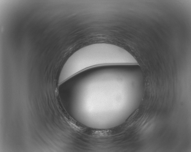 X0000052550089200507010856