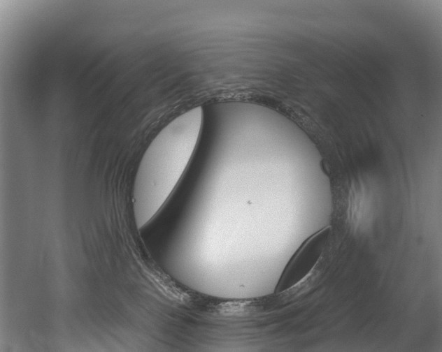 X0000052550090200507010856