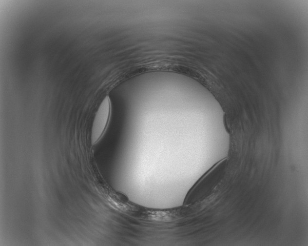 X0000052550091200507010856