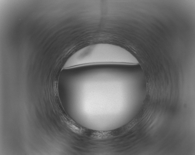 X0000052550093200507010856