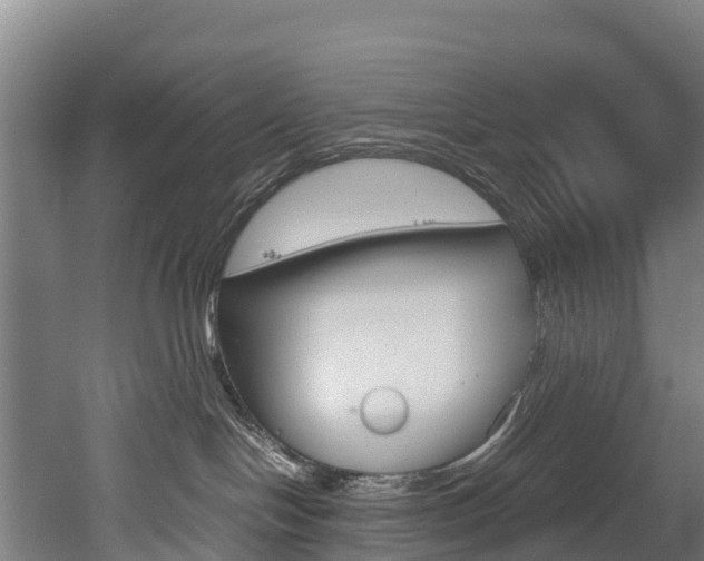 X0000052550094200507010856