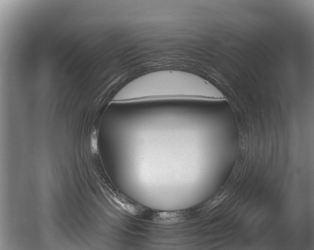 X0000052550095200507010856