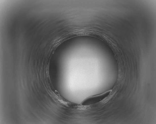 X0000052550096200507010856