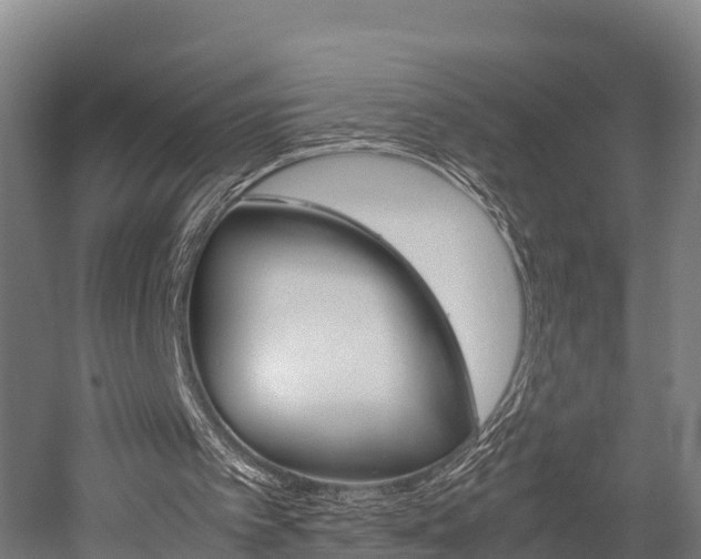 X0000052550097200507010855