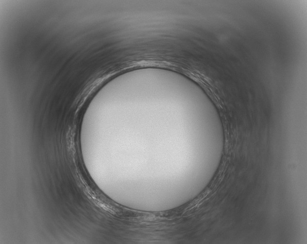 X0000052550098200507010855