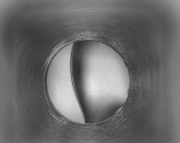 X0000052550099200507010855