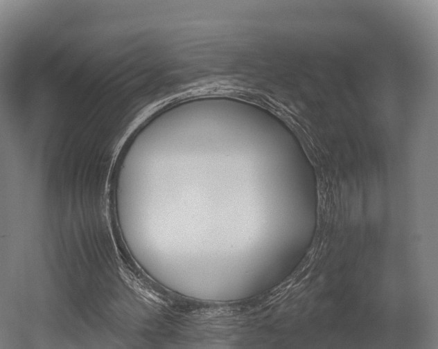 X0000052550100200507010855