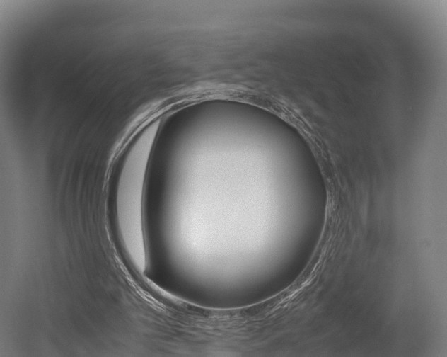 X0000052550101200507010855