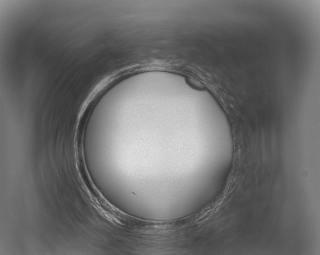 X0000052550102200507010855