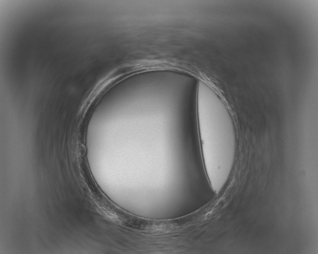 X0000052550103200507010855