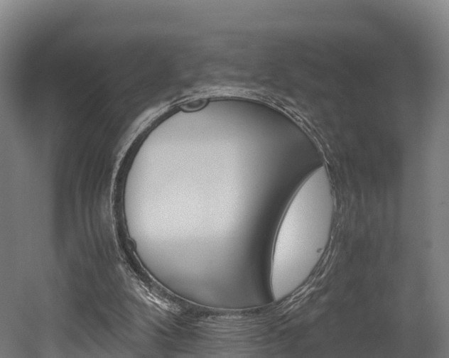 X0000052550104200507010855