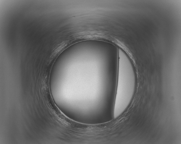 X0000052550105200507010855