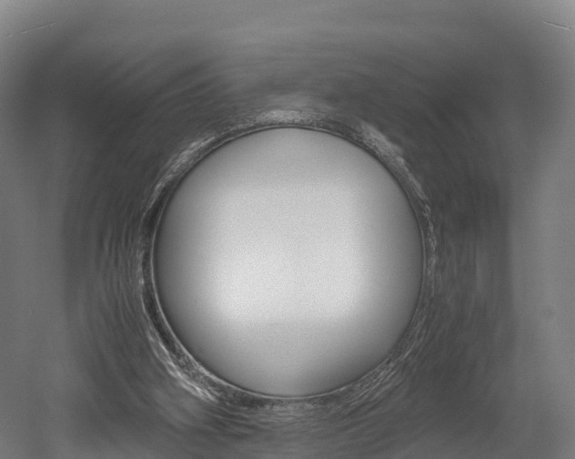 X0000052550106200507010855