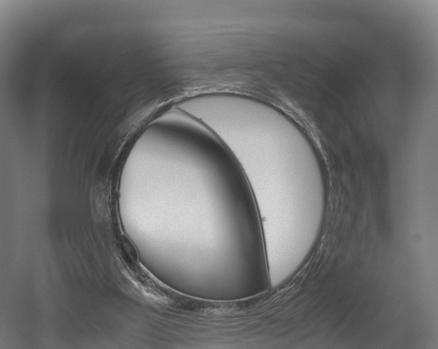 X0000052550107200507010855