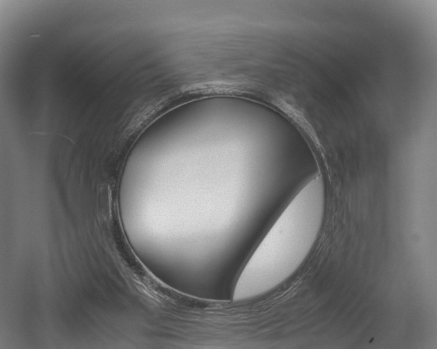 X0000052550109200507010855