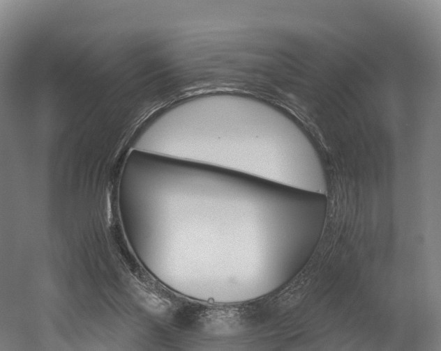 X0000052550110200507010855