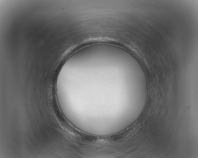 X0000052550111200507010855