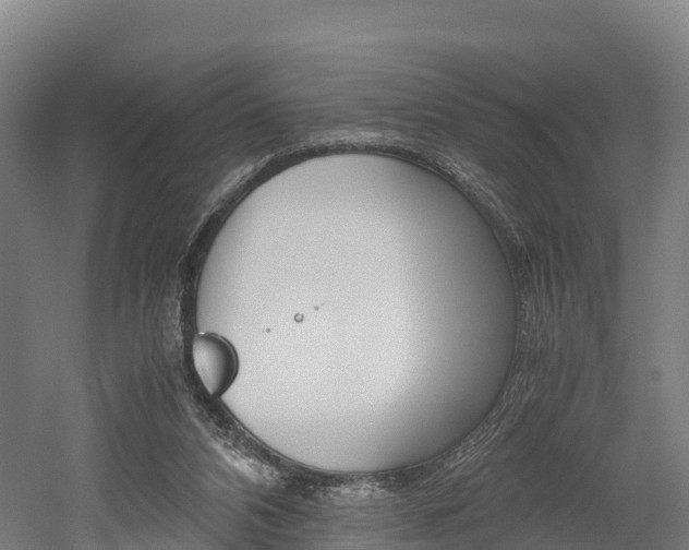 X0000052550112200507010855