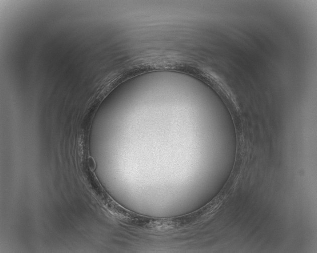 X0000052550113200507010855