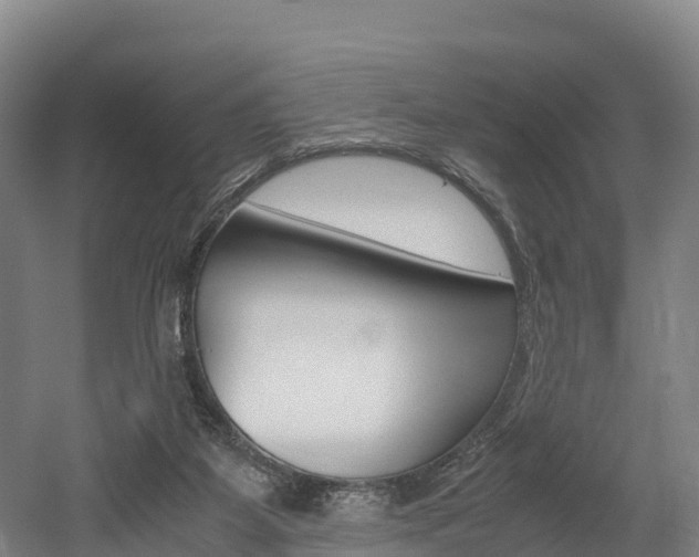 X0000052550115200507010855