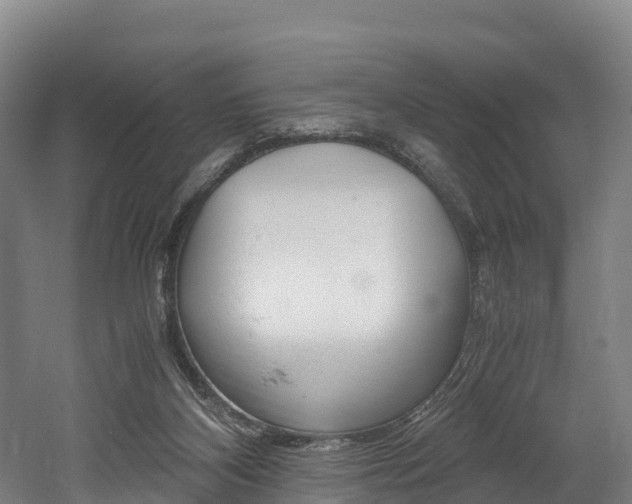 X0000052550116200507010855