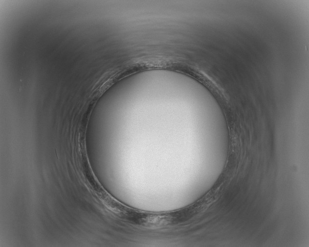 X0000052550117200507010855