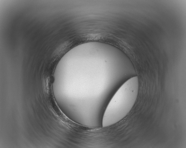 X0000052550118200507010855