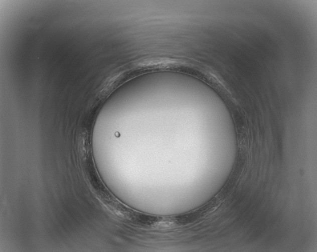 X0000052550119200507010855