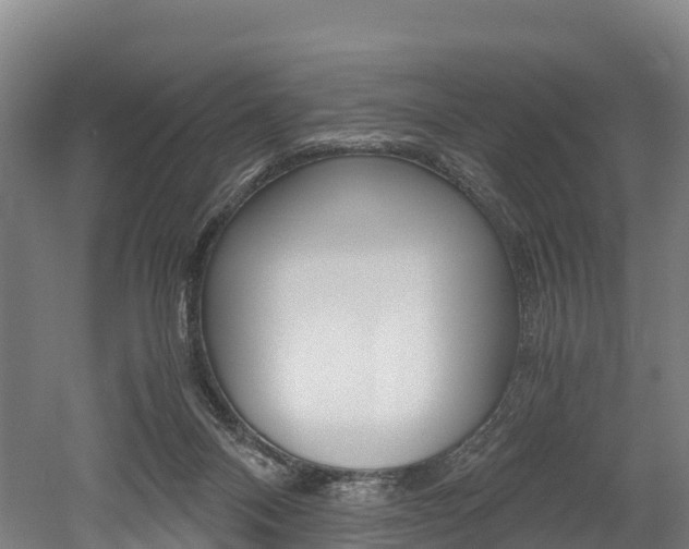 X0000052550120200507010855