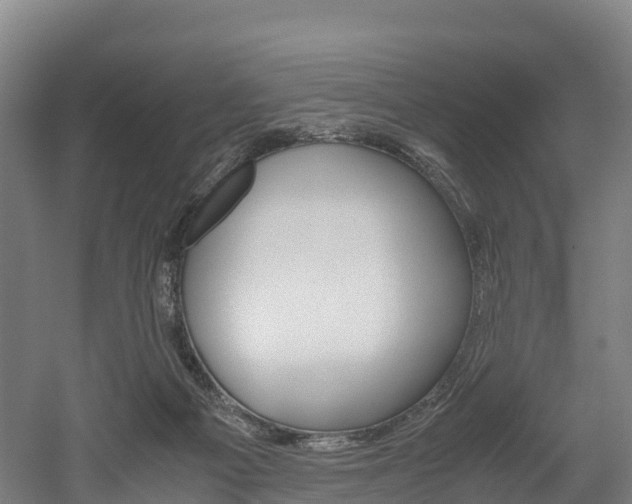 X0000052550121200507010855