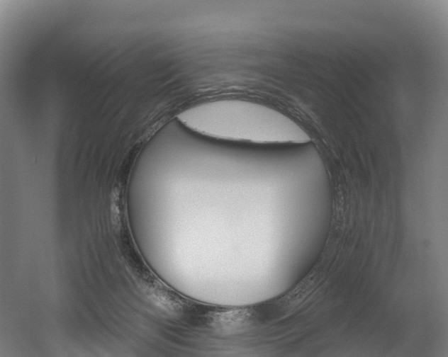 X0000052550122200507010855